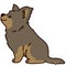 Outlined simple and adorable Yorkshire Terrier sitting in side view illustration