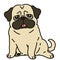 Outlined simple and cute pug sitting in front view