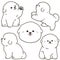 Outlined white Bichon Frise illustrations set