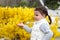 outraged little girl with ponytails shows her hand on a shrub with yellow flowers