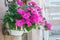 Outside basket filled with vibrant pink petunias.