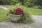 Outside concrete flower pot with summer plant