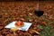Outside fall picnic with red wine