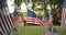 Outside in sunlight rows of slow waving American flags, and one single USA flag blowing in the wind. Patriotic concept for US