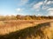 Outside sunny plain grass land reeds walkway through country sky