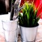 Outside Table Setting with an Artificial Plant and Eating Utensils