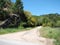 The outskirts of the town of Redondale. Spain. Natural views of the Spanish forest and various spring flowers.