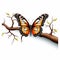 Outstanding Butterfly Collection Nature\\\'s Majesty