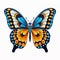 Outstanding Butterfly Collection Nature\\\'s Majesty