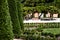 Outstanding cypress trees in Retiro Park in Madrid, Spain