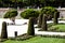 Outstanding cypress trees in Retiro Park in Madrid, Spain