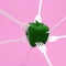 Outstanding Green pepper impaled on a white forks on pink pastel