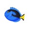 Oval blue fish. Vector illustration on white background.