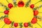 Oval frame made of colorful red tulips and cherry blossom twigs on bright yellow paper background. Beautiful spring layout. Floral