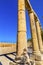 Oval Plaza 160 Ionic Columns Ancient Roman City Jerash Jordan