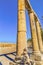 Oval Plaza Ionic Columns Ancient Roman City Jerash Jordan