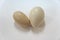 Oval-shaped chicken eggs are deformed, compared to normal eggs on white background.