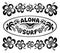 Oval surfing style label with sign Aloha Surf and hibiscus flowers frame