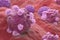 Ovarian cancer cells in the female ovum - closeup view 3d illustration