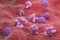 Ovarian cancer cells in the female ovum - isometric view 3d illustration