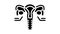 ovaries endocrinology glyph icon animation