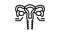 ovaries endocrinology line icon animation