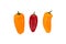 Ovely mini red and yellow peppers on white isolate background. Fresh vegetable