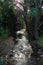 Ovens River flowing through Harrietville in north-eastern Victoria