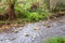 Ovens River - Harrietville