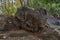 Over 1000Yers old  Panhalekaji, the famous rock-cut caves near river Kotjai Dabhol Dapoli tahashil.Ratnagir