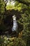 Over grown Faerie Footbridge spanning a deep gorge to a river