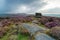 Over Owler Tor