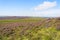 Over the purple Ling Heather and bracken of Hathersage Moor to a hazy Surprise View