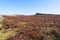 Over rugged moorland to Higger Tor and Mother Cap on a spring morning