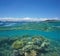 Over under coral reef New Caledonia Noumea