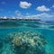 Over under corals underwater resort New Caledonia