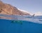 Over-Under of a Great White Shark in Guadalupe Island, Mexico