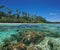 Over under lagoon island sea anemone fish Pacific