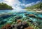 An over-under shot of a coral reef in the South Pacific.