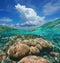 Over-under sky cloud and coral reef underwater