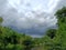 Overcast sky before Rain is coming. Dark clouds sky before storm background. Tree Under Cloudy dark Sky