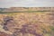 Overcast textured landscape of the Badlands of Drumheller