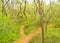 Overcast view of the Buffalo Bayou Park