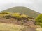 Overcast view of the landscape of Capulin Volcano National Monument