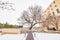 Overcast view of a snowy garden with Survival Tree of Oklahoma City National Memorial and Museum