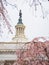 Overcast view of the United States Capitol with Cherry tree blossom