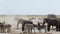 Overcrowded waterhole with Elephants, zebras, springbok and orix