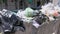 overfilled public trash bins at summer day in large city, close-up slow motion