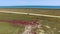 Overflight of salt marshes, aerial video