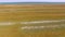 Overflight of salt marshes, aerial video